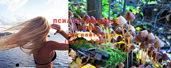 молекула духа Алексин