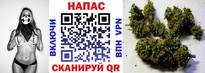 Конопля план Завитинск